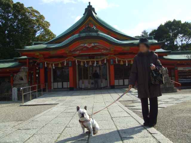 f0090117_16463334.jpg
