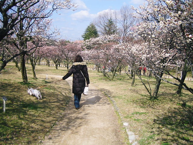 f0090117_1648334.jpg