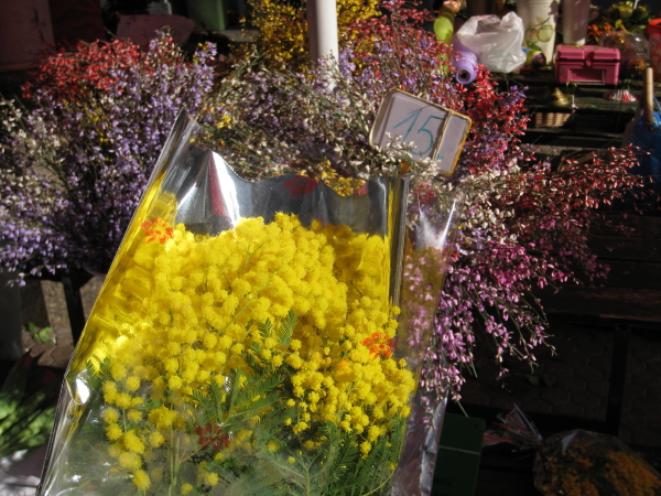 f0039021_1038367.jpg