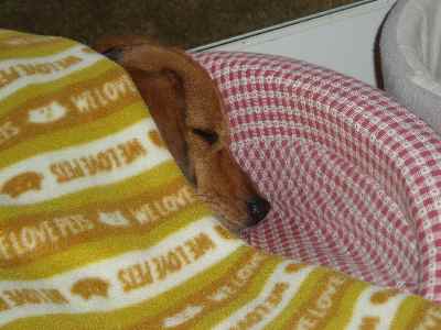c0166622_17343980.jpg