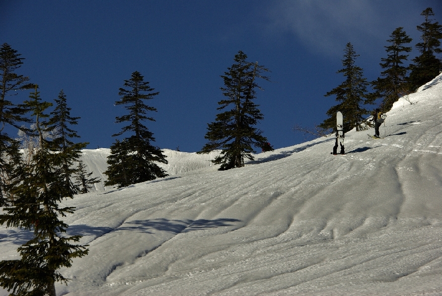 b0062024_22121471.jpg