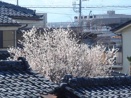 c0156328_16124420.jpg