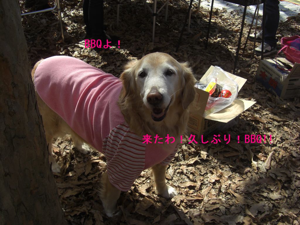 e0142430_2037895.jpg
