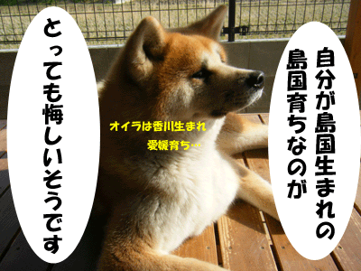 f0008935_15463580.gif