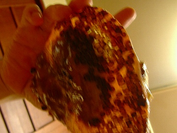 c0056437_12472185.jpg