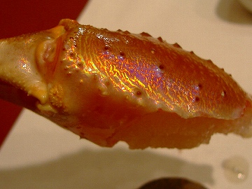 c0056437_12505127.jpg