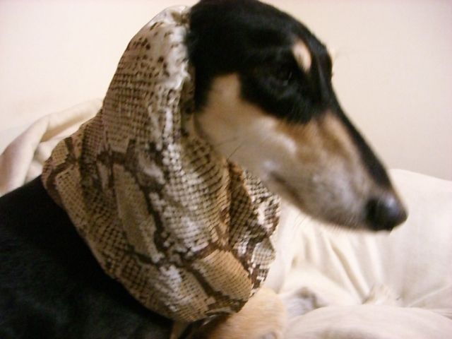 f0039538_22344717.jpg