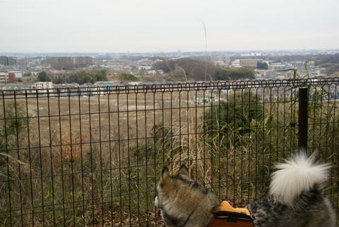 e0143442_2212947.jpg