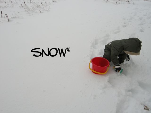 e0172842_2233677.jpg