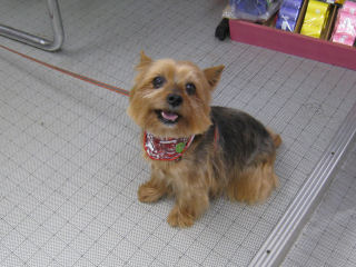 c0033145_22573833.jpg