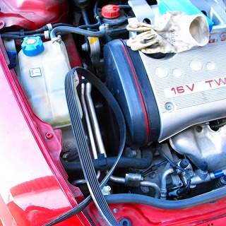 c0189446_1714162.jpg