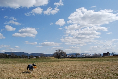 e0126046_053561.jpg