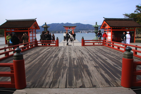 a0024250_172979.jpg