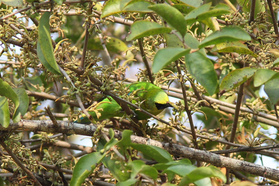 a0094850_21213819.jpg