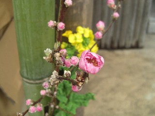 f0009451_11365538.jpg