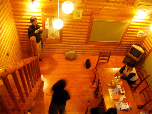 b0101263_1693428.jpg