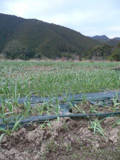 f0055264_21412189.jpg
