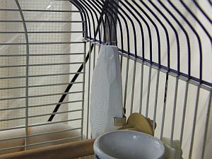 f0196665_034248.jpg