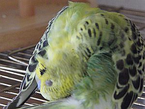 f0196665_0484050.jpg