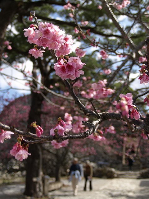 b0138768_11311586.jpg