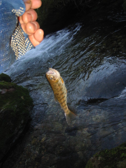 d0094868_10441399.jpg