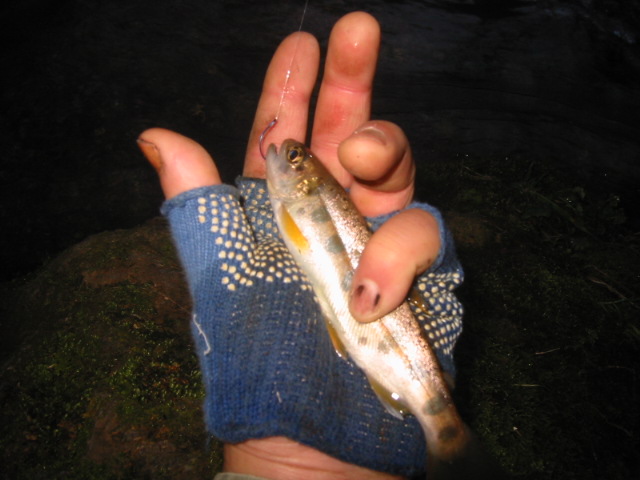d0094868_10442337.jpg