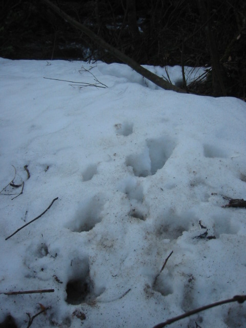 d0094868_10443660.jpg