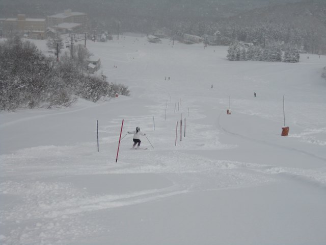 b0085469_1749689.jpg