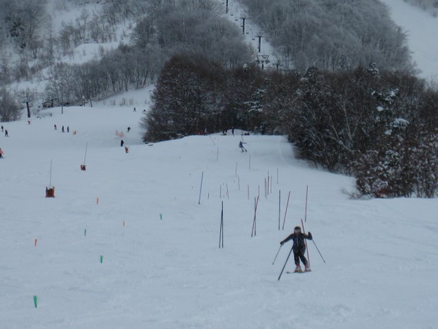 b0085469_17531616.jpg