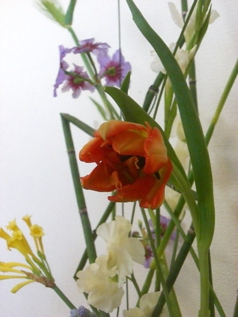 b0119969_12501655.jpg