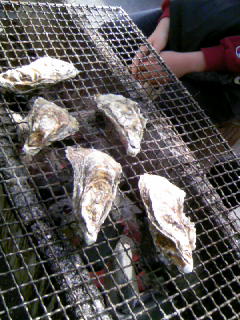 f0176570_22192682.jpg