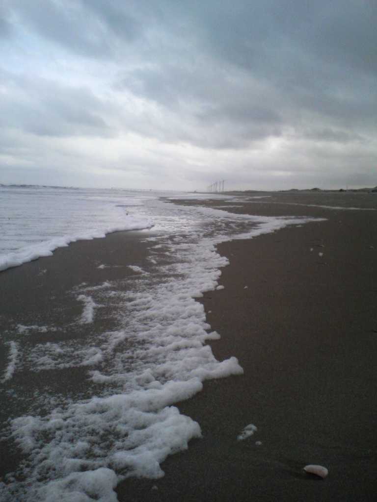 f0117673_20245329.jpg