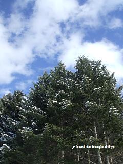 f0150377_1664945.jpg
