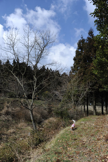 f0112087_15104512.jpg