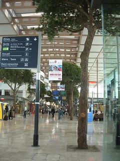 c0118291_81856100.jpg