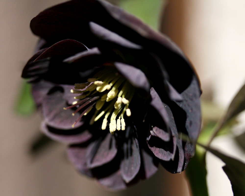 e0129991_13211352.jpg