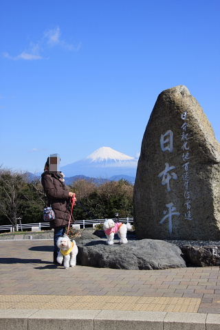 b0104592_1729373.jpg