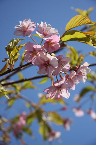 b0104592_17322890.jpg