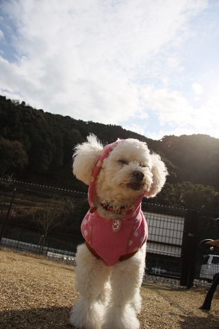 b0104592_17475392.jpg