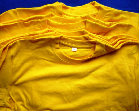 f0029393_6335776.jpg