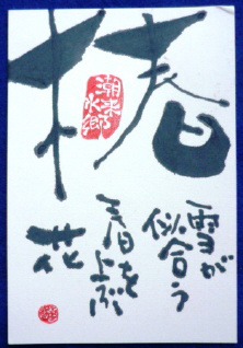 f0029393_6355558.jpg