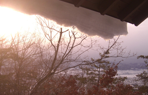 b0099994_112917100.jpg