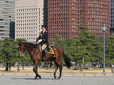 d0046702_61316.jpg