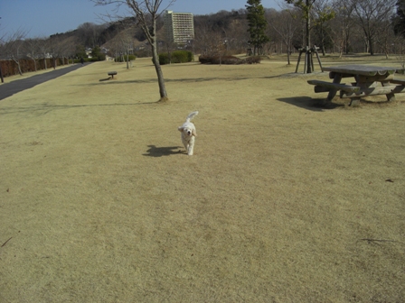 c0132205_15464759.jpg