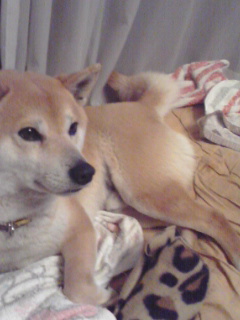 b0009206_22435582.jpg