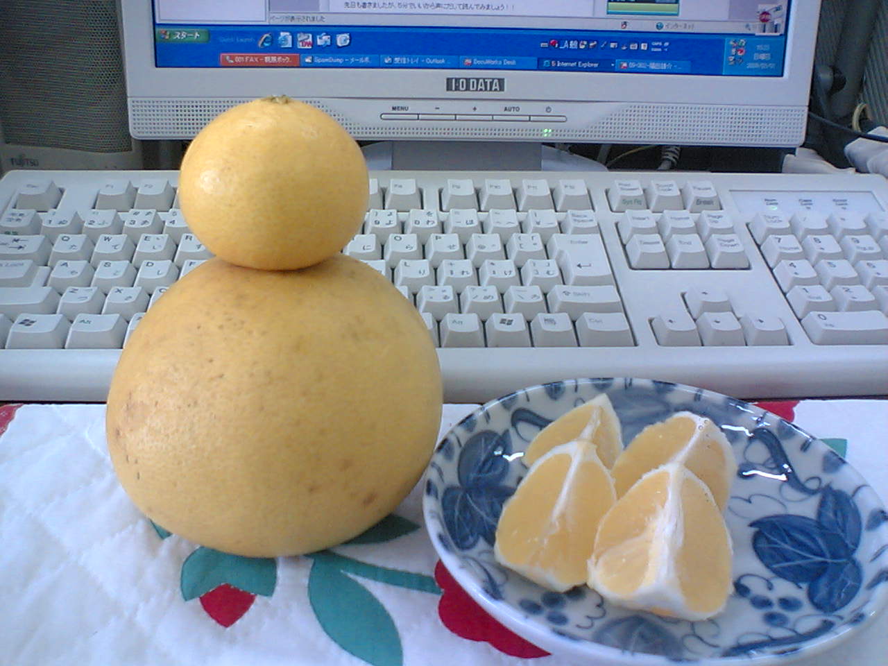 d0102007_14535724.jpg