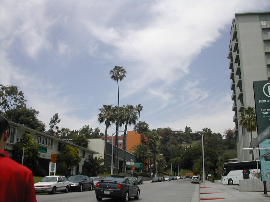 c0132608_1283816.jpg