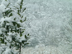 c0195309_1314673.jpg