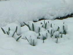 c0195309_1334848.jpg