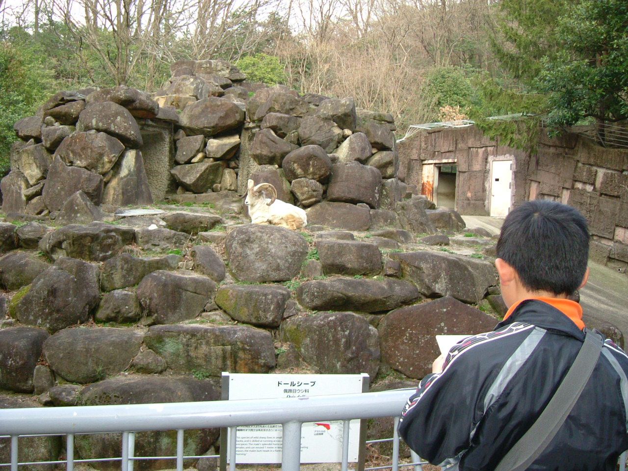 b0147710_13514371.jpg